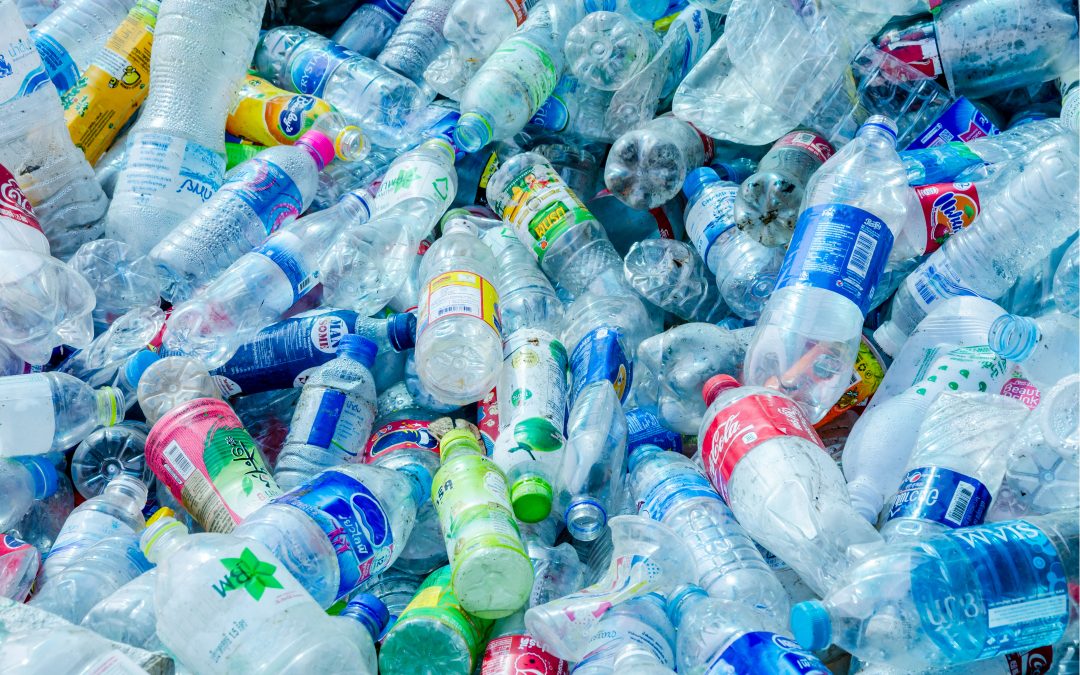 Les jeunes de l&rsquo;IME Sainte-Béate sensibles à la préservation de l&rsquo;environnement
