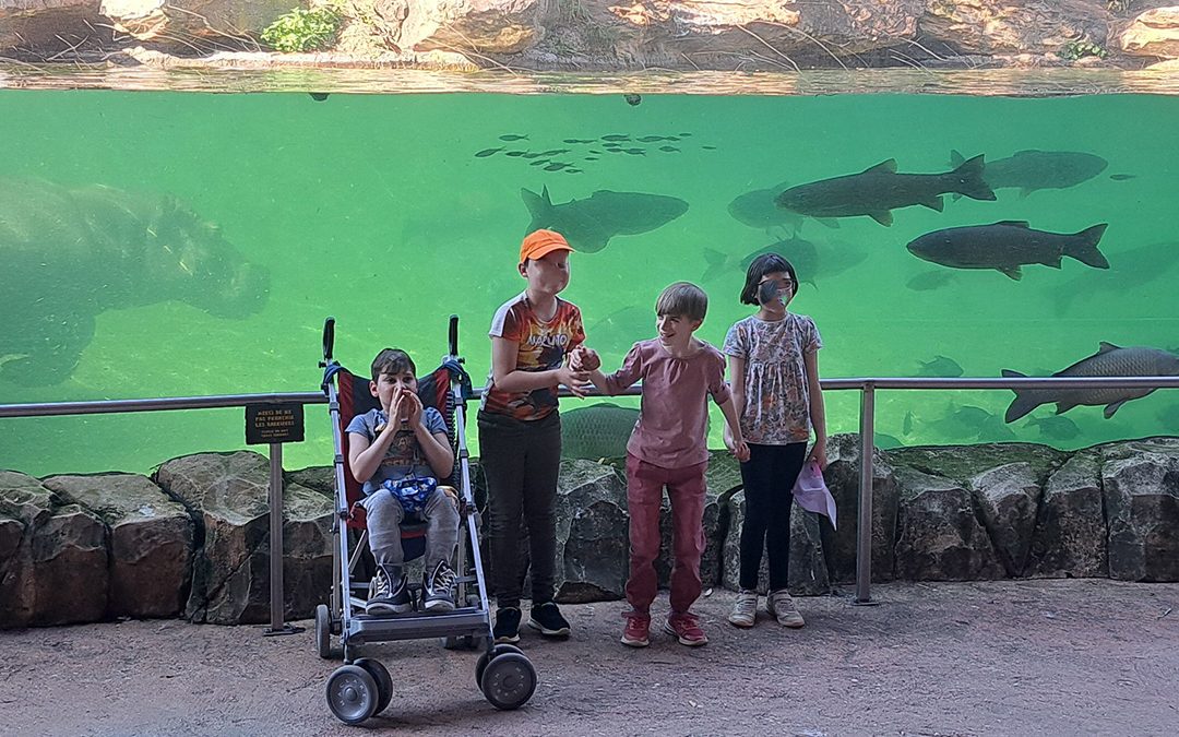 Mini-séjour à Beauval pour les jeunes de l’IME de Saint-Fargeau !
