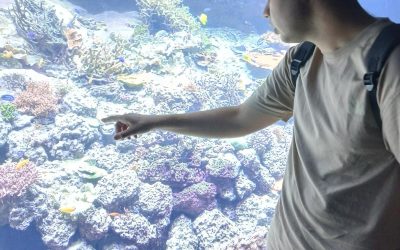 Un été riche en découvertes avec les « Activités pour tous » 2026 à la PAOFIP69